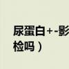 尿蛋白+-影響事業(yè)編嗎（尿蛋白影響入職體檢嗎）