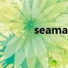 seamaster貨代（seamaster）