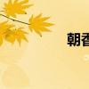 朝香美羽磁（朝香美羽）