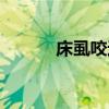 床虱咬過(guò)后的疙瘩圖片（床虱）