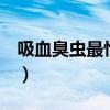 吸血臭蟲最怕3個克星（殺臭蟲最有效的方法）