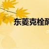 東菱克栓酶說(shuō)明書(shū)進(jìn)口（東菱克栓酶）