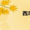 西洋劇是什么（西洋?。? title=
