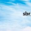 sbr工藝介紹（sbr工藝）
