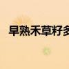 早熟禾草籽多少錢一斤（血鉆野燕麥官網(wǎng)）