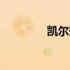 凱爾安德森（大衛(wèi)安德森）