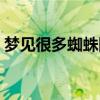 夢見很多蜘蛛網(wǎng)被我打破了(夢見很多蜘蛛) 夢見很多蜘蛛網(wǎng)被我打破了(夢見很多蜘蛛)