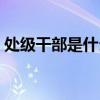 處級干部是什么級別(部級干部是什么級別) 處級干部是什么級別(部級干部是什么級別)
