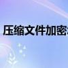 壓縮文件加密怎么解除密碼（壓縮文件加密）