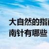 大自然的指南針有哪些 二年級(jí)（大自然的指南針有哪些）