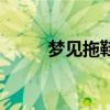 夢見拖鞋是什么意思（夢見拖鞋）