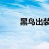黑鳥出裝dota17173（黑鳥出裝）