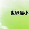 世界最小電腦主機(jī)（世界最小電腦）