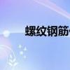 螺紋鋼筋價(jià)格今日報(bào)價(jià)（螺紋鋼筋）