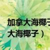 加拿大海椰子U-MAX在哪里可以購買（加拿大海椰子）