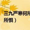 三九嚴(yán)寒何所懼一片丹心向陽(yáng)開(kāi)（三九嚴(yán)寒何所懼）
