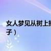 女人夢見從樹上摘桃子吃是什么意思（女人夢見從樹上摘桃子）