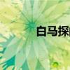 白馬探的官配（白馬探喜歡誰）