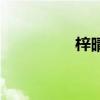 梓晴名字的寓意（梓晴）