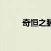 奇恒之腑的功能特點(diǎn)（奇恒之腑）