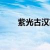 紫光古漢高磁化沐浴器（紫光古漢）