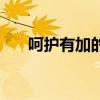 呵護(hù)有加的意思是什么（呵護(hù)的意思）