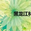 黑龍江林蛙紅肚皮(黑龍江林蛙) 黑龍江林蛙紅肚皮(黑龍江林蛙)