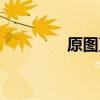 原圖直出什么意思（原圖）
