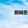 膽堿是什么東西（膽堿是什么）