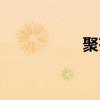 聚齊網(wǎng)之?dāng)。ň埤R網(wǎng)）