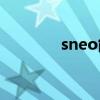 sneo能組成什么單詞（s n）