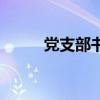 黨支部書(shū)記選舉程序（選舉程序）