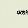 華為的渠道通路（渠道通路）