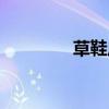 草鞋底子學(xué)名（草鞋底子）
