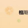 相川七瀨圖片（相川友希）
