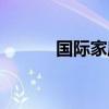 國(guó)際家庭日活動(dòng)（國(guó)際家庭日）