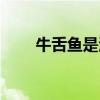 牛舌魚是海魚還是淡水魚（牛舌魚）