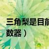 三角梨是目前最大的原裝素材分享（三角梨計(jì)數(shù)器）