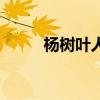 楊樹葉人能吃嗎（楊樹葉能吃嗎）