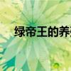 綠帝王的養(yǎng)殖方法和注意事項(xiàng)（綠帝王）