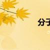 分子式是什么（分子式）