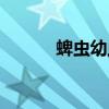 蜱蟲幼蟲會咬人嗎(蜱蟲幼蟲) 蜱蟲幼蟲會咬人嗎(蜱蟲幼蟲)