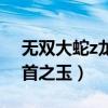 無雙大蛇z龍首之玉怎么獲得（無雙大蛇z龍首之玉）