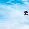 碧蘭麻濃度(碧蘭麻) 碧蘭麻濃度(碧蘭麻)