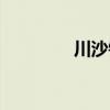 川沙鎮(zhèn)黨委書記（川沙鎮(zhèn)）