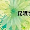 昆明池規(guī)劃圖（昆明池規(guī)劃）