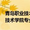 青島職業(yè)技術(shù)學(xué)院專業(yè)代碼2023（青島職業(yè)技術(shù)學(xué)院專業(yè)）