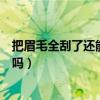 把眉毛全刮了還能長的跟之前一樣嗎（把眉毛全刮了會(huì)變濃嗎）