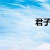 君子堂內(nèi)功（君子堂2內(nèi)）