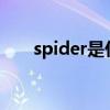spider是什么意思啊英語（spiders）